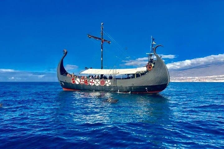Viking Cruise from Los Cristianos: Whale Watching, Ocean Swim & Unlimited Drinks photo 3