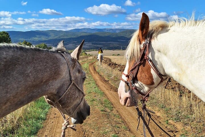 Escape Sofia: Horseback Ride Through Bulgaria's Radomir Foothills photo 3
