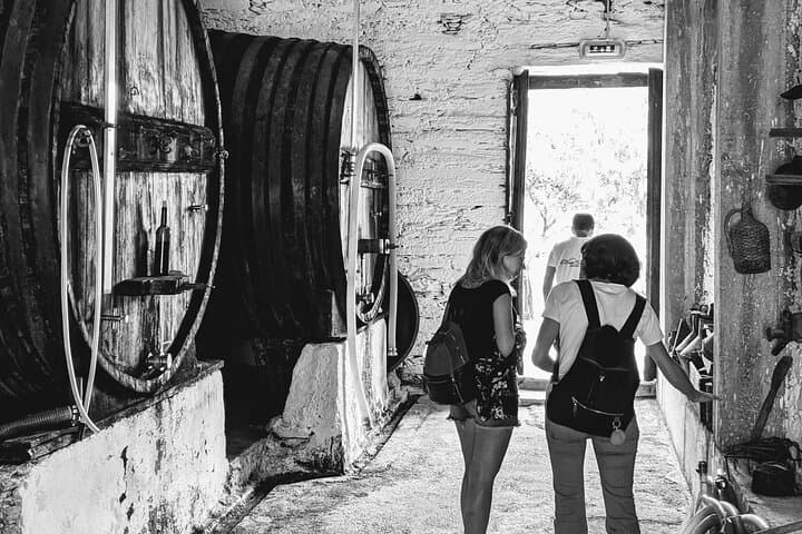 Pinhão Private Boat, Lunch & Wine Tour — 6-Hour Douro Valley Quinta Experience photo 3