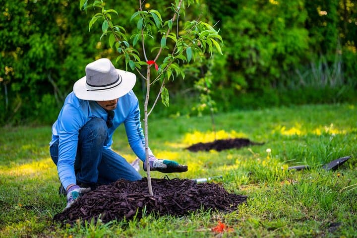 Plant a Tree in Morocco's Atlas Mountains and Share Tea with a Berber Family photo 1