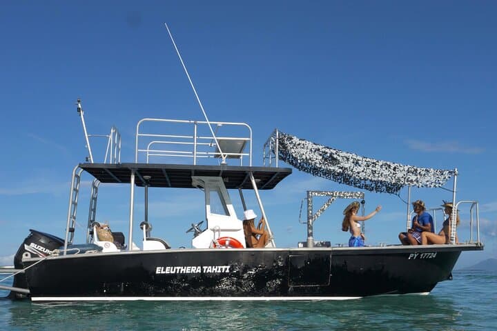 Tahiti Humpback Whale Watching Excursion — Small-Group Snorkel with Experts photo 3