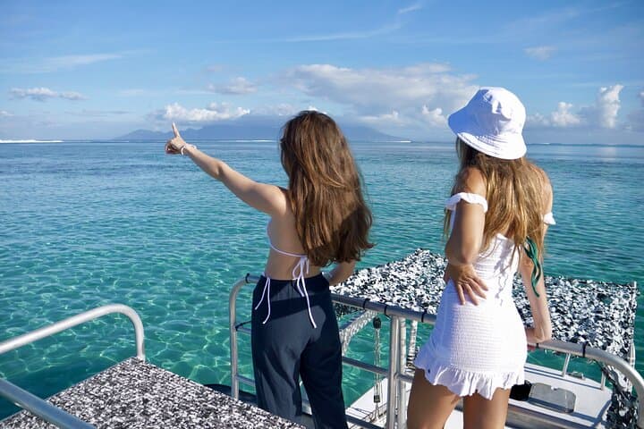 Tahiti Humpback Whale Watching Excursion — Small-Group Snorkel with Experts photo 4