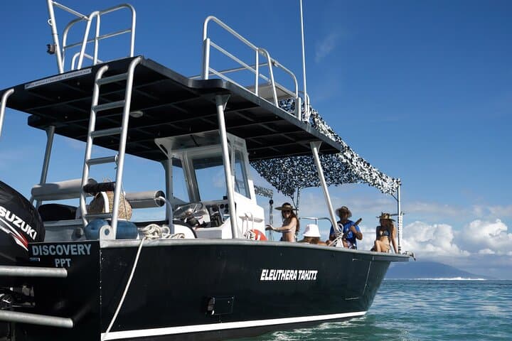 Tahiti Humpback Whale Watching Excursion — Small-Group Snorkel with Experts photo 6