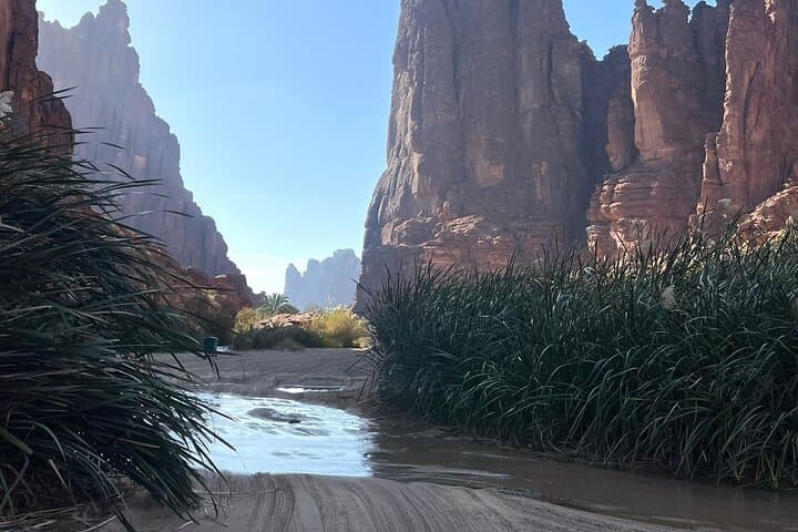 Wadi Al Disah 4x4 Adventure from AlUla — Day Trip to Cliffs, Springs & Palm Groves photo 4