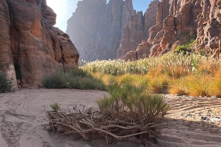 Wadi Al Disah 4x4 Adventure from AlUla — Day Trip to Cliffs, Springs & Palm Groves photo 2