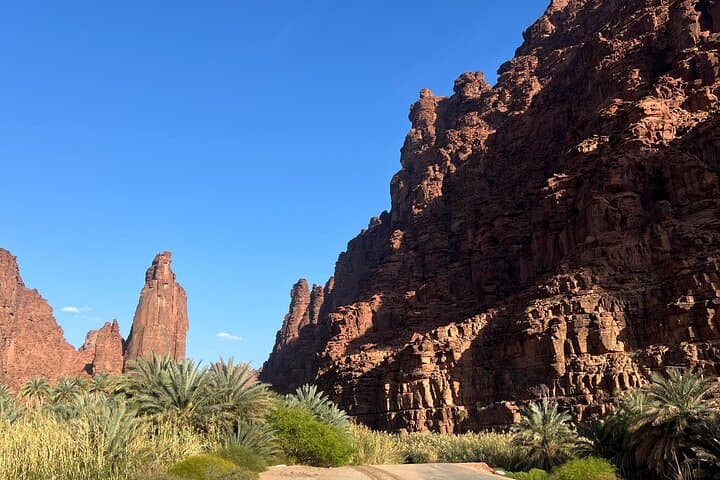 Wadi Al Disah 4x4 Adventure from AlUla — Day Trip to Cliffs, Springs & Palm Groves photo 5