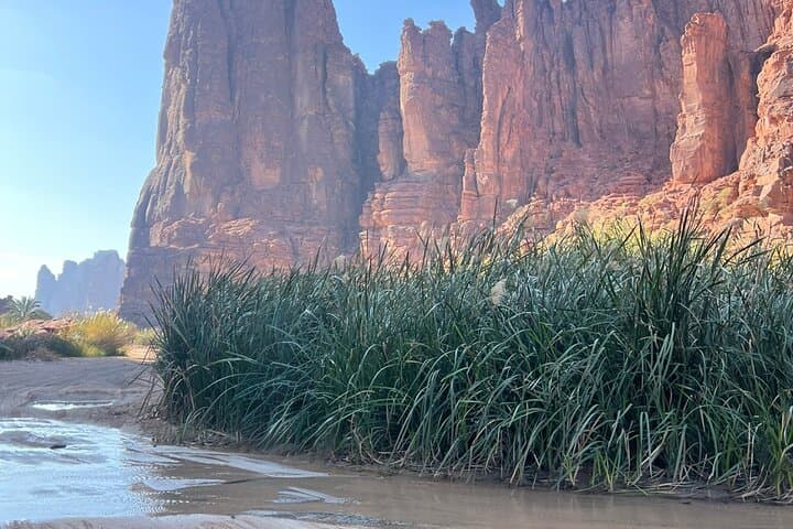 Wadi Al Disah 4x4 Adventure from AlUla — Day Trip to Cliffs, Springs & Palm Groves photo 3