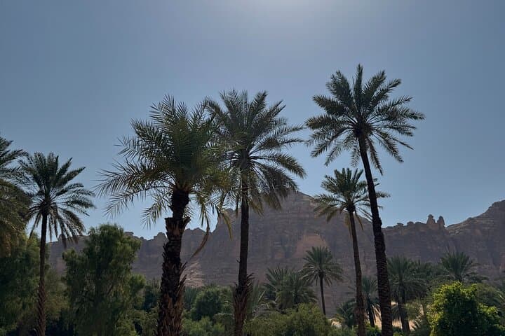 Wadi Al Disah 4x4 Adventure from AlUla — Day Trip to Cliffs, Springs & Palm Groves photo 6