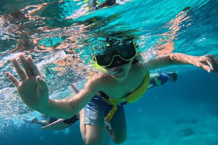 Half-Day Private Boat Charter to Little Water Cay & Barrier Reef, Providenciales photo 3