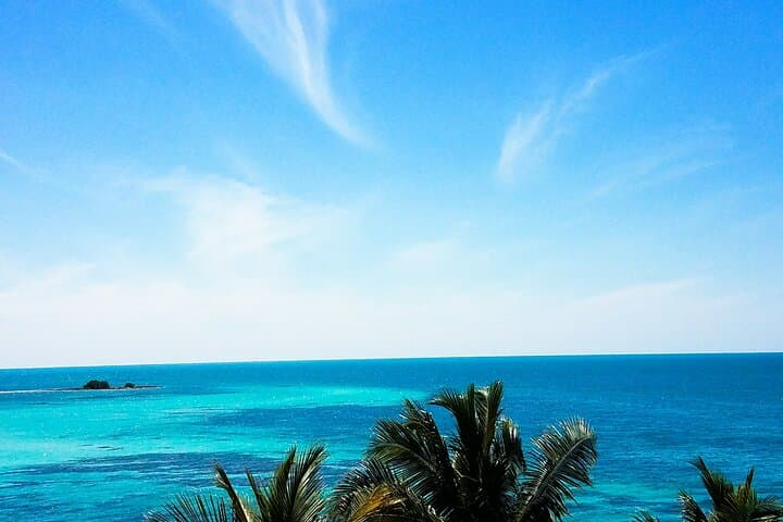 Private Full-Day Road Trip from Miami to Key West — Drive, Wildlife & Sunset photo 2