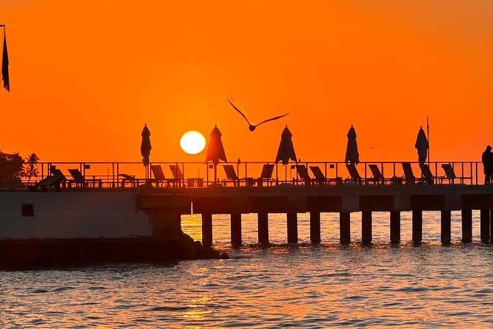 Private Full-Day Road Trip from Miami to Key West — Drive, Wildlife & Sunset photo 5