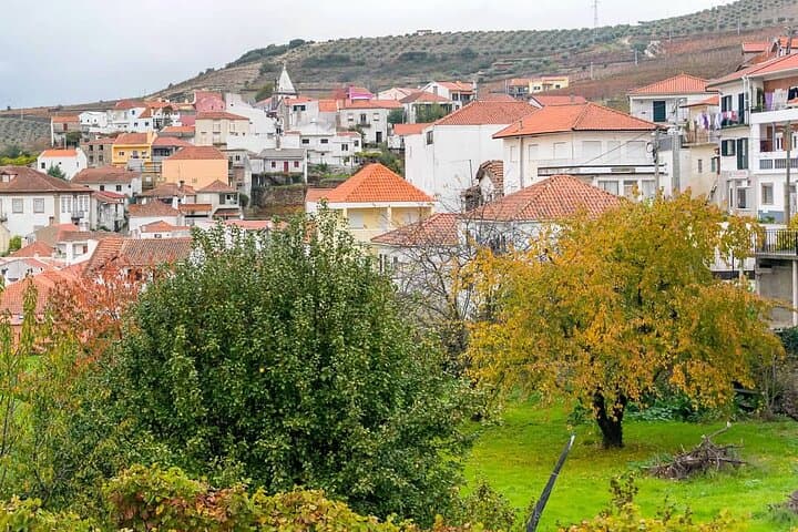 Pinhão Private Boat, Lunch & Wine Tour — 6-Hour Douro Valley Quinta Experience photo 6
