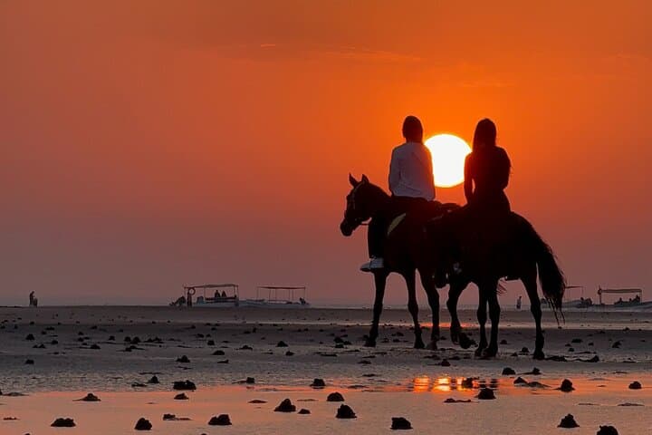 Horseback Riding on Al Sawadi Beach — Private Guided Beach Ride from Muscat photo 3