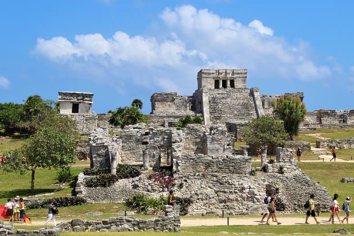 Guerrero Maya: Tulum, Falcon Nest Cenote & Sayab Cavern Day Tour photo 3