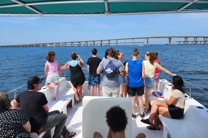 Pensacola Beach Dolphin and Scenic Cruise photo 4