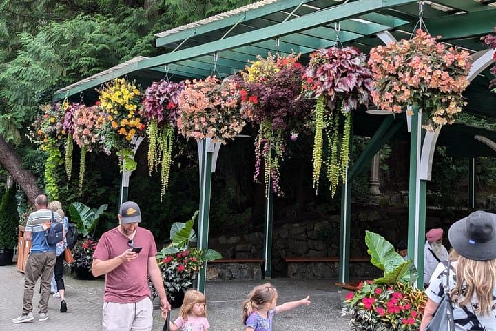Victoria Private Tour — Butchart Gardens, Craigdarroch Castle & Afternoon High Tea photo 2