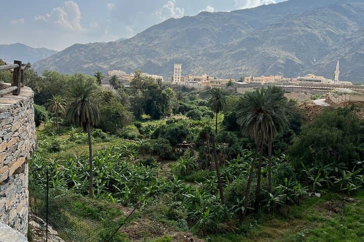 Al Bahah Full City Tour: Dhee Ain, Khairah Forest & Old Town Experience photo 4
