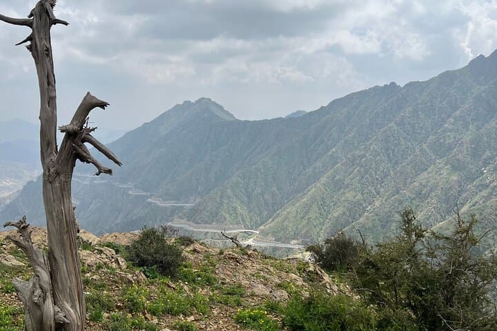 Al Bahah Full City Tour: Dhee Ain, Khairah Forest & Old Town Experience photo 5