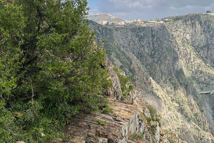 Al Bahah Full City Tour: Dhee Ain, Khairah Forest & Old Town Experience photo 6