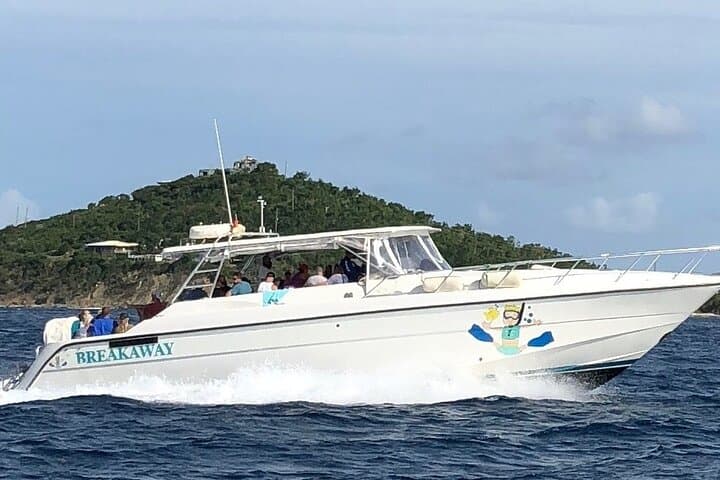 Snorkel and Sunset Cruise from Margaritaville Resort — St. Thomas Reef & Sunset Experience photo 6