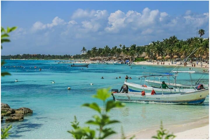 Half-Day Sea Turtle & Cenote Snorkeling Adventure from Cancun photo 2