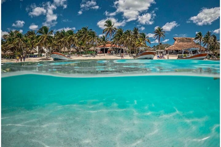 Half-Day Sea Turtle & Cenote Snorkeling Adventure from Cancun photo 3