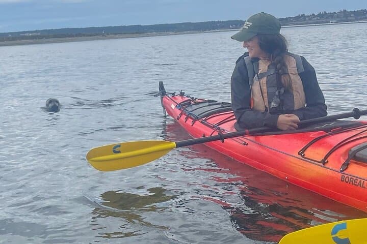 Wildlife Kayak Tour at Fort Flagler State Park — Sea Kayaking & Tidepool Eco-Adventure