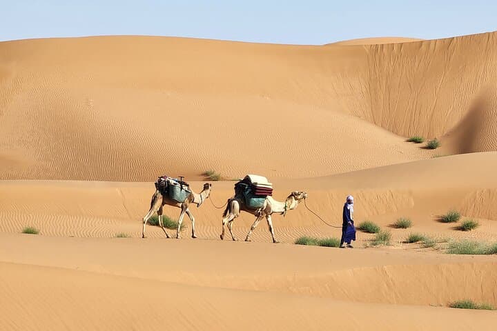 3-Day Camel Trek from Mhamid: Sahara Desert Trekking & Wild Camping photo 2