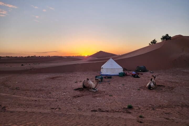 3-Day Camel Trek from Mhamid: Sahara Desert Trekking & Wild Camping photo 3