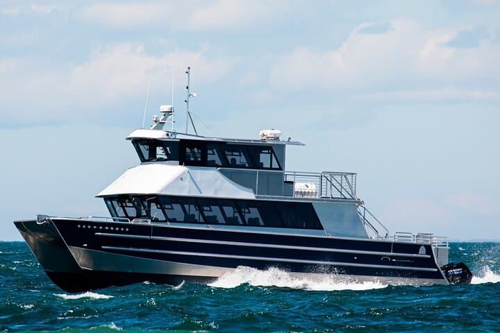 Whale Watching Cruise from Port Townsend: Salish Sea Wildlife Adventure photo 1