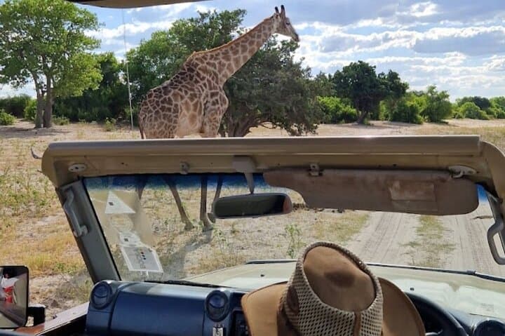 Chobe National Park Day Trip from Victoria Falls — Boat Cruise, Game Drive & Lunch photo 2