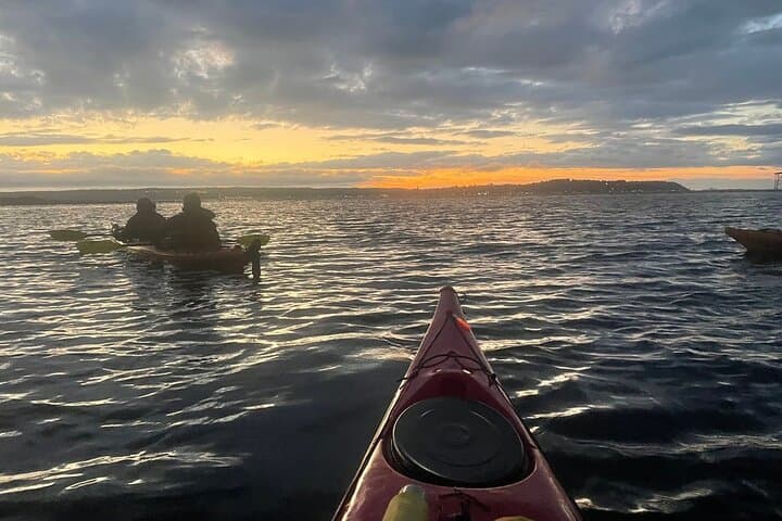 Sunset Wildlife Kayak Tour at Fort Flagler State Park — Admiralty Inlet Golden Hour Paddle
