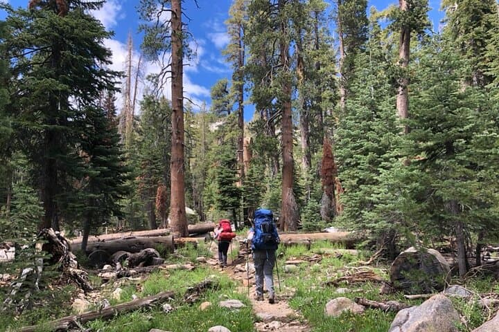Conquer Half Dome: 4-Day Guided Yosemite Backpacking Adventure photo 6