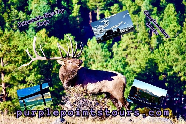 Glass-Top Rocky Mountain National Park Tour from Estes Park photo 3
