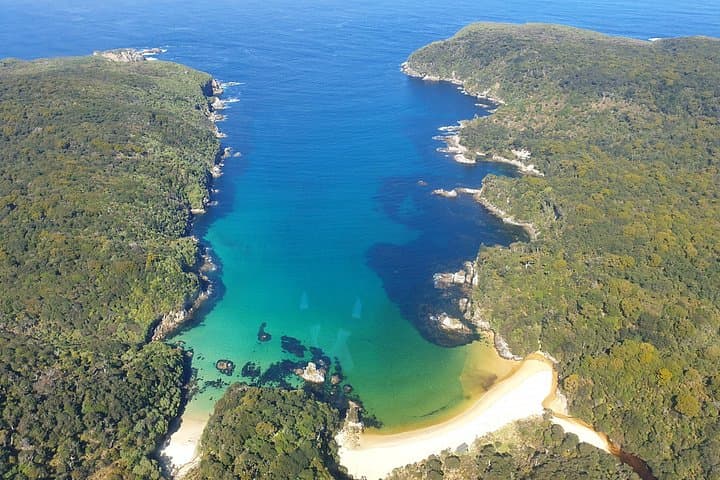 Helicopter Transfer to Stewart Island (Rakiura): 15-Min Scenic Flight from Bluff photo 4