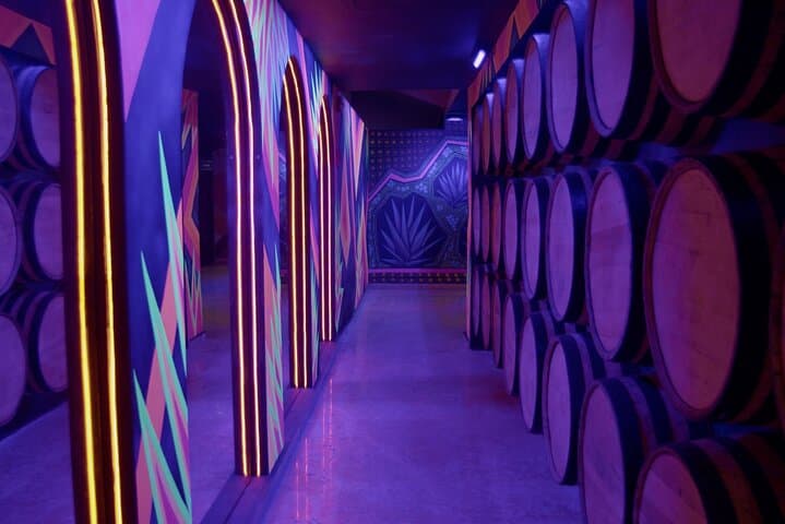 Immersive Tequila Tasting & Museum Experience at Teatro Vallarta photo 4