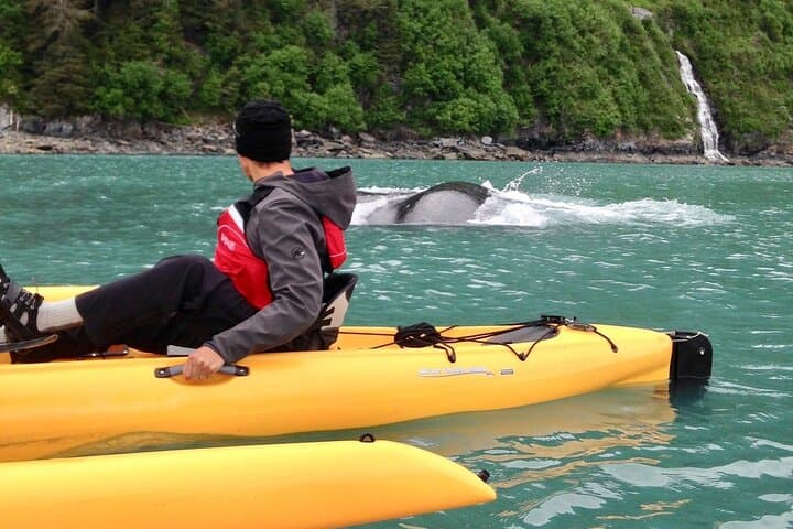 4-Day Private Sailing Adventure in Alaska's Inside Passage