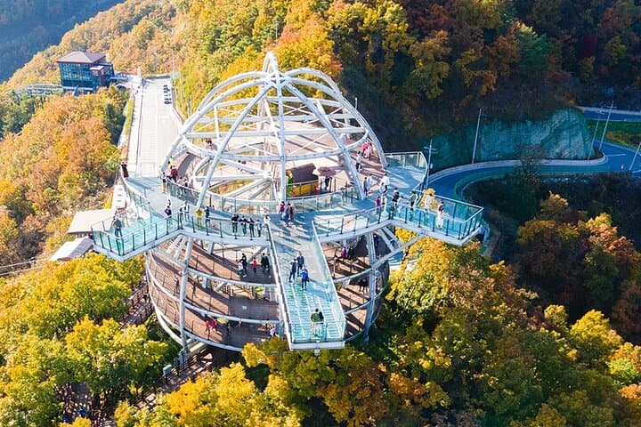 Walk Above the Namhangang: Full-Day Danyang Skywalk & Market Tour