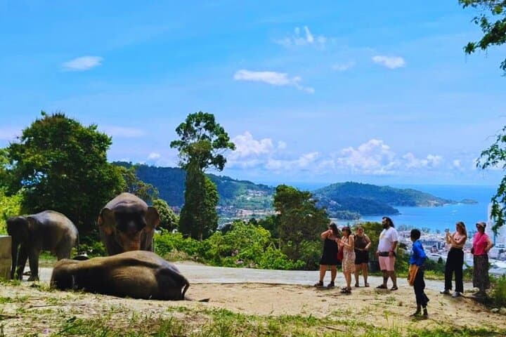 Phuket Elephant Sanctuary Observe & Learn — Hands‑Off, Ethical Encounter