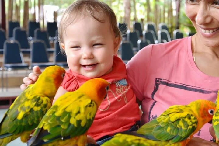 Phuket Bird Park: Insider Guide to Thailand’s Largest Walk‑Through Aviary photo 3