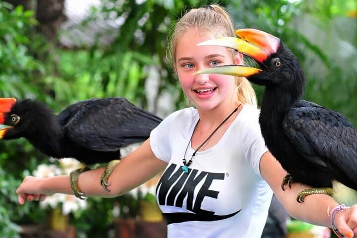 Phuket Bird Park: Insider Guide to Thailand’s Largest Walk‑Through Aviary photo 4