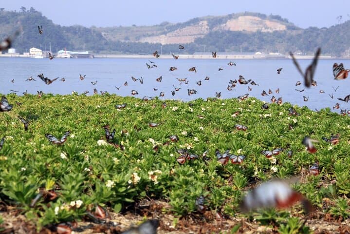 Himeshima Eco Tour: Beppu Day Trip to Island Myths, Onsen & Coastal Trails photo 6