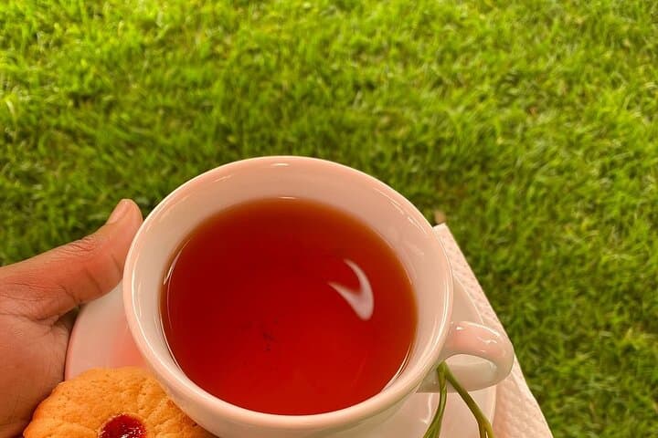 Kiambethu Tea Farm Day Tour: Limuru Tea Walks, Farm-to-Table Lunch & Wildlife photo 2