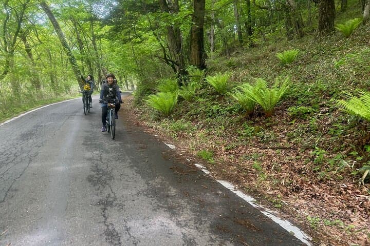 E‑Bike Ride and Hike to Mt. Hangetsu Observation Deck — Oku‑Nikko Views of Mt. Nantai & Lake Chuzenji photo 2