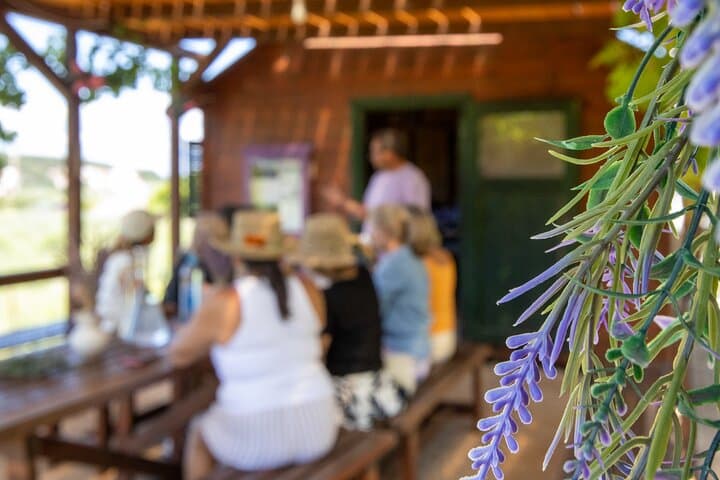 Hvar Lavender Tour: Lavender Fields, Honey Tasting & Family Farm Visit photo 5