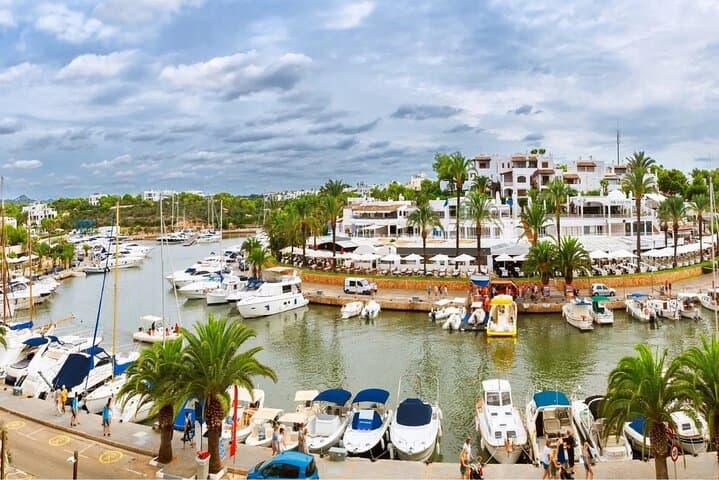Dolphin Watching & Swimming at Cala d'Or — East Mallorca Catamaran Day Trip photo 3