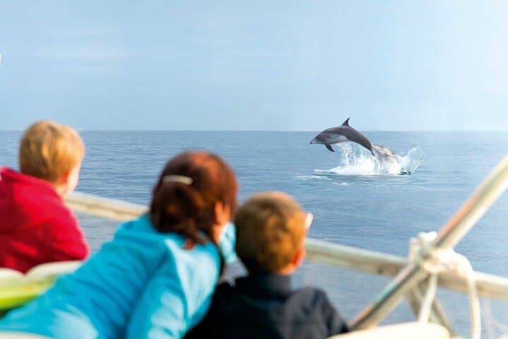 Dolphin Watching & Swimming at Cala d'Or — East Mallorca Catamaran Day Trip photo 6