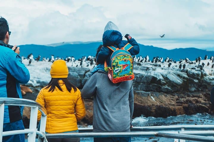Beagle Channel Cruise from Ushuaia: Penguins, Sea Lions & Les Eclaireurs Lighthouse photo 2