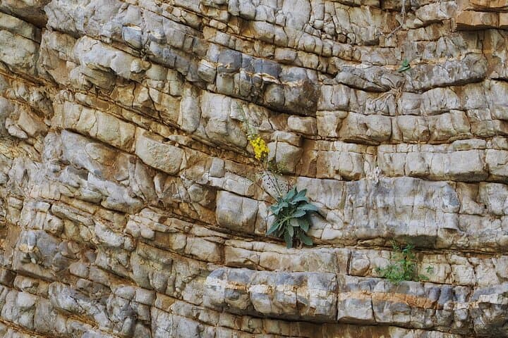 Imbros Gorge Private Hike: Family-Friendly Guided Walk in Crete photo 6
