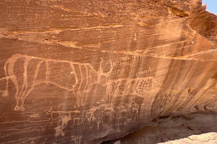 Al-Ukhdood & Hima Wells: 2-Day Najran Archaeology and Rock Art Tour photo 2